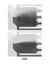 Fig. 10 - Cell culture and gradient migration assay methods and devices