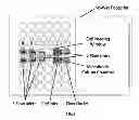 Fig. 12 - Cell culture and gradient migration assay methods and devices