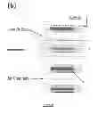Fig. 18 - Cell culture and gradient migration assay methods and devices