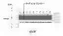 Fig. 19 - Cell culture and gradient migration assay methods and devices