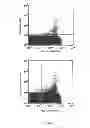 Fig. 08 - Monoclonal antibody capable of binding integrin alpha 10 beta 1