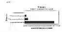 Fig. 06 - Microorganism expressing xylose isomerase