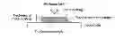 Fig. 01 - Deterioration analysis method and chemical state measurement method
