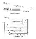 Fig. 02 - Deterioration analysis method and chemical state measurement method