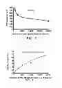Fig. 07 - Fluorescent detection of in vitro translated protein on a solid surface
