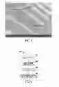 Fig. 04 - Graphene device including a PVA layer or formed using a PVA layer