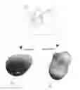 Fig. 01 - Modal adaptive antenna for mobile applications