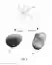 Fig. 07 - Modal adaptive antenna for mobile applications