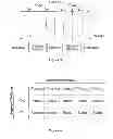 Fig. 03 - EAR POSITION AND GESTURE DETECTION WITH MOBILE DEVICE