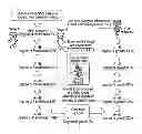 Fig. 01 - Game control device and storage medium including creating and arranging a character