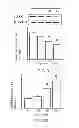 Fig. 07 - METHOD OF THERAPY AND DIAGNOSIS OF ATHEROSCLEROSIS