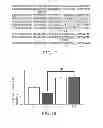 Fig. 10 - METHOD OF THERAPY AND DIAGNOSIS OF ATHEROSCLEROSIS