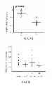 Fig. 20 - METHOD OF THERAPY AND DIAGNOSIS OF ATHEROSCLEROSIS