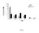 Fig. 08 - System and method for multiphasic release of growth factors