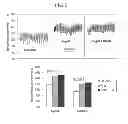 Fig. 03 - METHODS FOR THE PREVENTION OR TREATMENT OF HEART FAILURE
