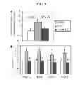 Fig. 06 - METHODS FOR THE PREVENTION OR TREATMENT OF HEART FAILURE