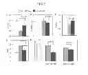 Fig. 08 - METHODS FOR THE PREVENTION OR TREATMENT OF HEART FAILURE