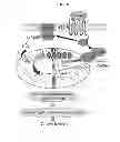 Fig. 09 - METHODS FOR THE PREVENTION OR TREATMENT OF HEART FAILURE