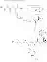 Fig. 29 - COMPOUNDS FOR ENZYME INHIBITION