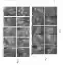 Fig. 03 - Plant-derived elastin binding protein ligands and methods of using the same