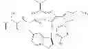 Fig. 166 - Diazonamide analogs