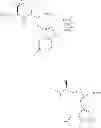 Fig. 45 - Diazonamide analogs