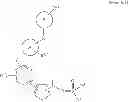 Fig. 21 - Compounds as tyrosine kinase modulators