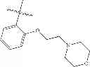Fig. 209 - Substituted isoquinolinones and methods of treatment thereof