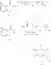 Fig. 331 - Substituted isoquinolinones and methods of treatment thereof