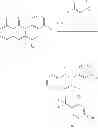 Fig. 370 - Substituted isoquinolinones and methods of treatment thereof