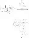 Fig. 371 - Substituted isoquinolinones and methods of treatment thereof