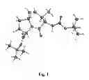 Fig. 02 - STRUCTURAL MIMETICS OF PROLINE-RICH PEPTIDES AND THEIR USE