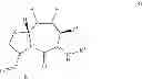Fig. 05 - STRUCTURAL MIMETICS OF PROLINE-RICH PEPTIDES AND THEIR USE