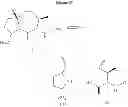 Fig. 07 - STRUCTURAL MIMETICS OF PROLINE-RICH PEPTIDES AND THEIR USE