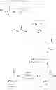 Fig. 08 - STRUCTURAL MIMETICS OF PROLINE-RICH PEPTIDES AND THEIR USE
