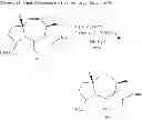Fig. 12 - STRUCTURAL MIMETICS OF PROLINE-RICH PEPTIDES AND THEIR USE