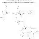 Fig. 13 - STRUCTURAL MIMETICS OF PROLINE-RICH PEPTIDES AND THEIR USE