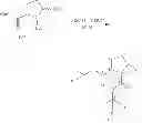 Fig. 17 - STRUCTURAL MIMETICS OF PROLINE-RICH PEPTIDES AND THEIR USE