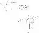 Fig. 18 - STRUCTURAL MIMETICS OF PROLINE-RICH PEPTIDES AND THEIR USE