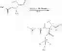 Fig. 19 - STRUCTURAL MIMETICS OF PROLINE-RICH PEPTIDES AND THEIR USE