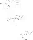 Fig. 20 - STRUCTURAL MIMETICS OF PROLINE-RICH PEPTIDES AND THEIR USE