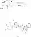 Fig. 31 - STRUCTURAL MIMETICS OF PROLINE-RICH PEPTIDES AND THEIR USE