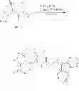 Fig. 34 - STRUCTURAL MIMETICS OF PROLINE-RICH PEPTIDES AND THEIR USE