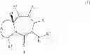 Fig. 35 - STRUCTURAL MIMETICS OF PROLINE-RICH PEPTIDES AND THEIR USE