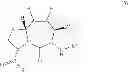 Fig. 37 - STRUCTURAL MIMETICS OF PROLINE-RICH PEPTIDES AND THEIR USE