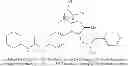 Fig. 488 - Compounds and methods for the treatment of isocitrate dehydrogenase related diseases