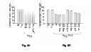 Fig. 11 - NEUROTROPHIN MIMETICS AND USES THEREOF