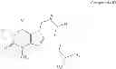 Fig. 20 - NEUROTROPHIN MIMETICS AND USES THEREOF