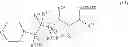 Fig. 30 - NEUROTROPHIN MIMETICS AND USES THEREOF
