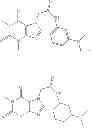 Fig. 40 - NEUROTROPHIN MIMETICS AND USES THEREOF